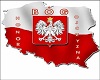 Polish national emblem