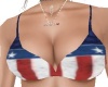 American Flag Bikini T-2