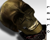 ! L! Horseman Skull Head