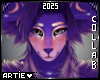 A* Kacey | Hair II