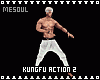 Kungfu Action 2