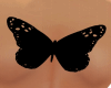 {N} tattoo Butterfly 1