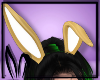 K.Bunny Pumpkin Ears