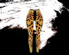 Wild Print pants