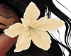 V1 Marguerite Flower
