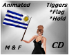 CD Flag Uruguay Poses MF