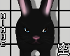 空 Rabbit Black 空