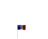 Franch JO 2024 Flag