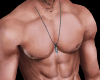 Muscle