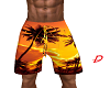 Honolulu Shorts #D#