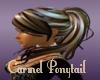 Carmel Ponytail