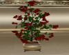 Gig-Valentine Red Plant