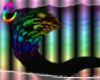 C; RainbowLeo Tail M M/F