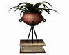 plant on a stand 4