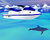 24 JetSki Ride & Dolphin