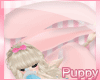 [Pup] Pink Blanky V2