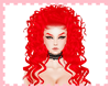 (OM)Daniello Red