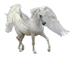 Pegasus Series XII