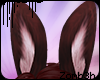 z | Bun Ears - Wine