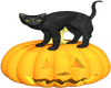 Halloween Cat 3
