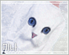 M| White Meow 