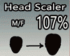 Scaler Head 107%