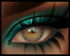 Aura Teal Smoke Eyes