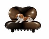 chair dog