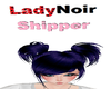 LadyNoir Shipper