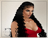 CC Arkeisha Hair Black