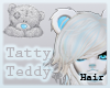 + Tatty Teddy HAIR V1 +
