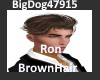 [BD]RonBrownHair