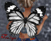 Lizza Butterfly