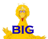 [G] Big Bird Voice Box