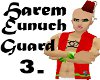 Harem Eunuch Guard 3.