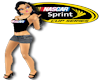 Sprint Cup Angel