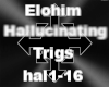 Elohim - Hallucinating