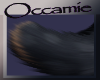 Paradox Tail