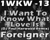 I Want To Konw What Love