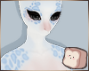 ⊹ Dream Fur F