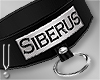 -V- Siberus Collar