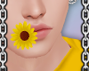 ⛓ Sunny Days Sunflower