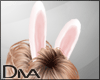 [DB] Sexy Bunny Ears