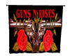 Guns n Roses Banner