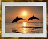 DOLPHINS AT SUNSET