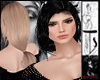 Ts 42  Siyah Black
