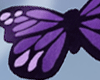 butterfly rug!