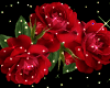 Dugun salonu