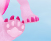 Canine Feet |fuchsia