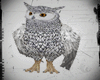 Owl Nevasca